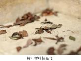 人教版音乐小学二年级上册《小动物告别会》课件01