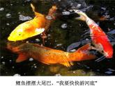 人教版音乐小学二年级上册《小动物告别会》课件01