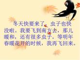 小动物告别会PPT课件免费下载