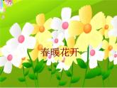 小动物告别会PPT课件免费下载