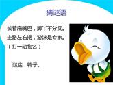 人教版音樂(lè)小學(xué)二年級(jí)上冊(cè)小鴨子課件PPT