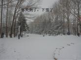 人教版音樂二年級下冊《小雪橇》課件1