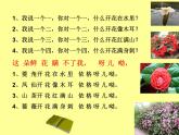 人教版音乐三年级上册《对鲜花》课件1