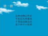 人教版音樂(lè)三年級(jí)上冊(cè)《白鴿》課件2