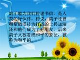 人教版音樂三年級上冊《白鴿》課件1
