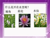 人教版音乐三年级上册《对鲜花》课件2