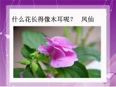 人教版音乐三年级上册《对鲜花》课件2