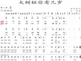 人教版音乐三年级上册《大树桩你有几岁》课件03