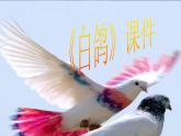 人教版音乐三年级上册《白鸽》课件03