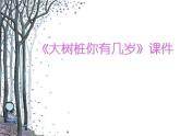 人教版音乐三年级上册《大树桩你有几岁》课件02