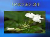 人教版音樂三年級下冊《民歌之旅》課件2