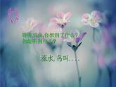 人教版音樂(lè)三年級(jí)下冊(cè)《朝景》課件2