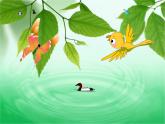 人教版音乐三年级下册《森林与小鸟》课件