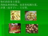 人教版音樂三年級(jí)下冊(cè)《幸?；▋洪_心上》課件3
