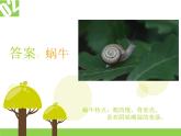 人教版音乐三年级下册《蜗牛与黄鹂鸟》课件3