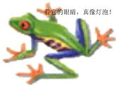 最新小学音乐花蛤蟆PPT (2)课件
