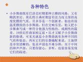 小学音乐花城版三年级上册 欣赏 钢琴曲《G大调小步舞曲》课件PPT
