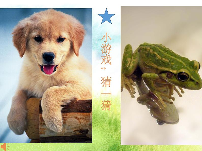 动物说话课件PPT03