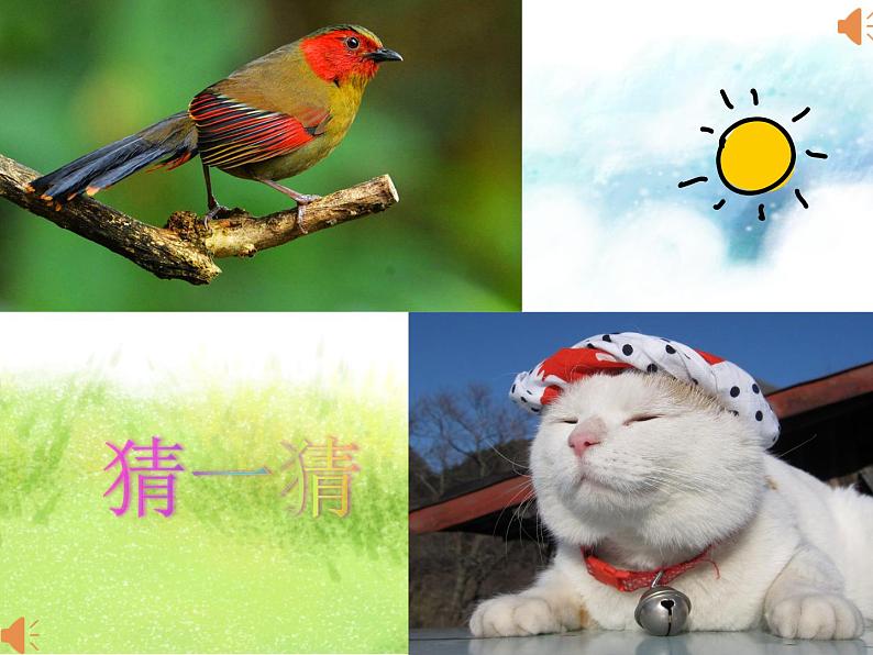 动物说话课件PPT04