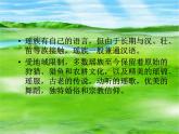新版人教版小学音乐五下《瑶族舞曲》课件