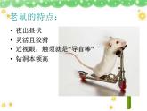 老鼠和大象PPT課件免費(fèi)下載