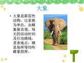 老鼠和大象PPT課件免費(fèi)下載