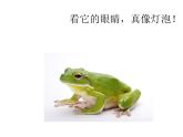 人教版音乐小学二年级上册《花蛤蟆》课件02
