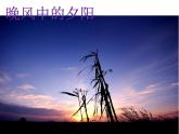 晚風(fēng) 課件PPT+教案+各種素材