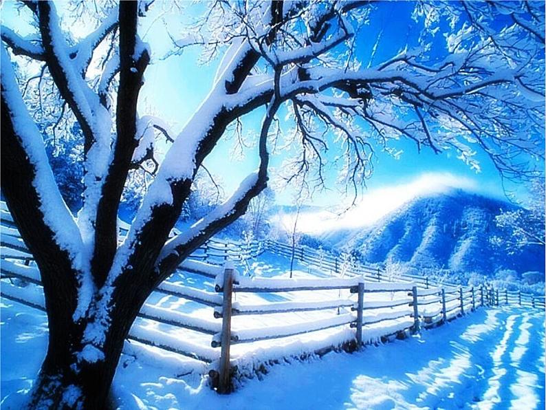 《雪花带来冬天的梦》课件第4页