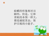 小学音乐花城版三年级上册 歌曲 《数蛤蟆》课件PPT