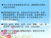 小学三年级上册音乐-1森林狂想曲1-西师大版(10张)ppt课件