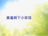 小学三年级上册音乐-2黄葛树下小茶馆-西师大版(7张)ppt课件
