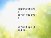 小学三年级上册音乐-第六单元牧笛声声听一阵阵歌声--苏少版(11张)ppt课件