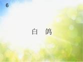小學(xué)三年級上冊音樂-第六單元《白鴿》--人教新課標(9張)(1)ppt課件