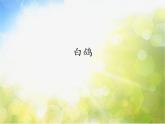 小學(xué)三年級(jí)上冊(cè)音樂(lè)-第六單元《白鴿》-人教新課標(biāo)(12張)ppt課件