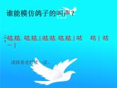 小學(xué)三年級(jí)上冊(cè)音樂(lè)-第六單元《白鴿》-人教新課標(biāo)(12張)ppt課件
