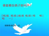 小学三年级上册音乐-第三单元《白鸽》--苏少版(12张)ppt课件