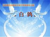 小学三年级上册音乐-第三单元《白鸽》--苏少版(12张)ppt课件