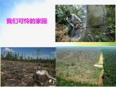 森林的故事PPT課件免費(fèi)下載