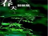 小学三年级下册音乐-《春天举行音乐会》2人音版(简谱)(21张)ppt课件