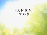 小学三年级上音乐-大树桩你有几岁人教新课标(19张)ppt课件