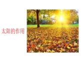 人音版（簡(jiǎn)譜） 四年級(jí)上 第7課 陽(yáng)光牽著我的手  課件（12 張PPT）