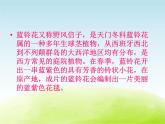 六年级音乐上册第七单元苏格兰的蓝铃花课件1苏少版