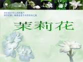 六上 1 演唱 茉莉花（江蘇民歌）課件（9張PPT）人音版
