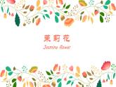 六上 1 演唱 茉莉花（江蘇民歌）課件（13張PPT）人音版