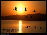 人音小學(xué)音樂五上《1晚風(fēng)》PPT課件 (3)