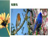 人音小學音樂五上《1晨景》PPT課件 (6)