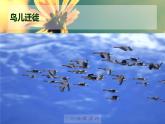 人音小學音樂五上《1晨景》PPT課件 (6)