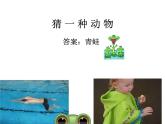 花城版小学音乐一年级上册7.1 歌曲《青蛙合唱》课件（24张）