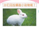 花城版小学音乐一年级上册12.2 唱游《小兔子乖乖》课件（8张）